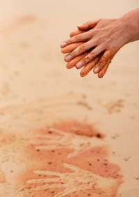 Indigenous Peoples Student Lecture 2020