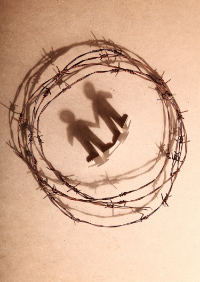 Human Rights Resources